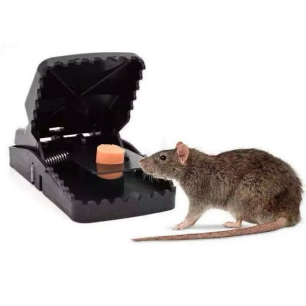 (GROSIRAN) Alat Perangkap Jepit Tikus Alat Jebakan Tikus Plastik Tebal Mouse Trap