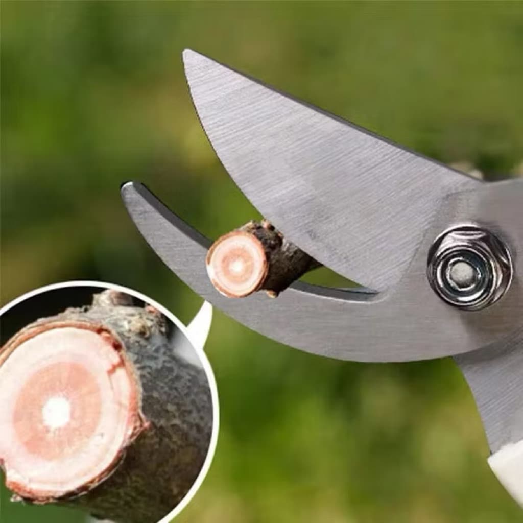 Gunting Dahan Ranting Bunga Tanaman Gunting Alat Berkebun Potong Tanaman Pruning Shears
