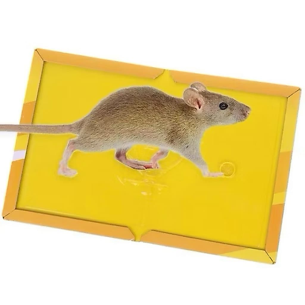 (GROSIRAN) Lem Perangkap Tikus Model Buku Alat Papan Lem Jebakan Tikus Kuat Super Lengket