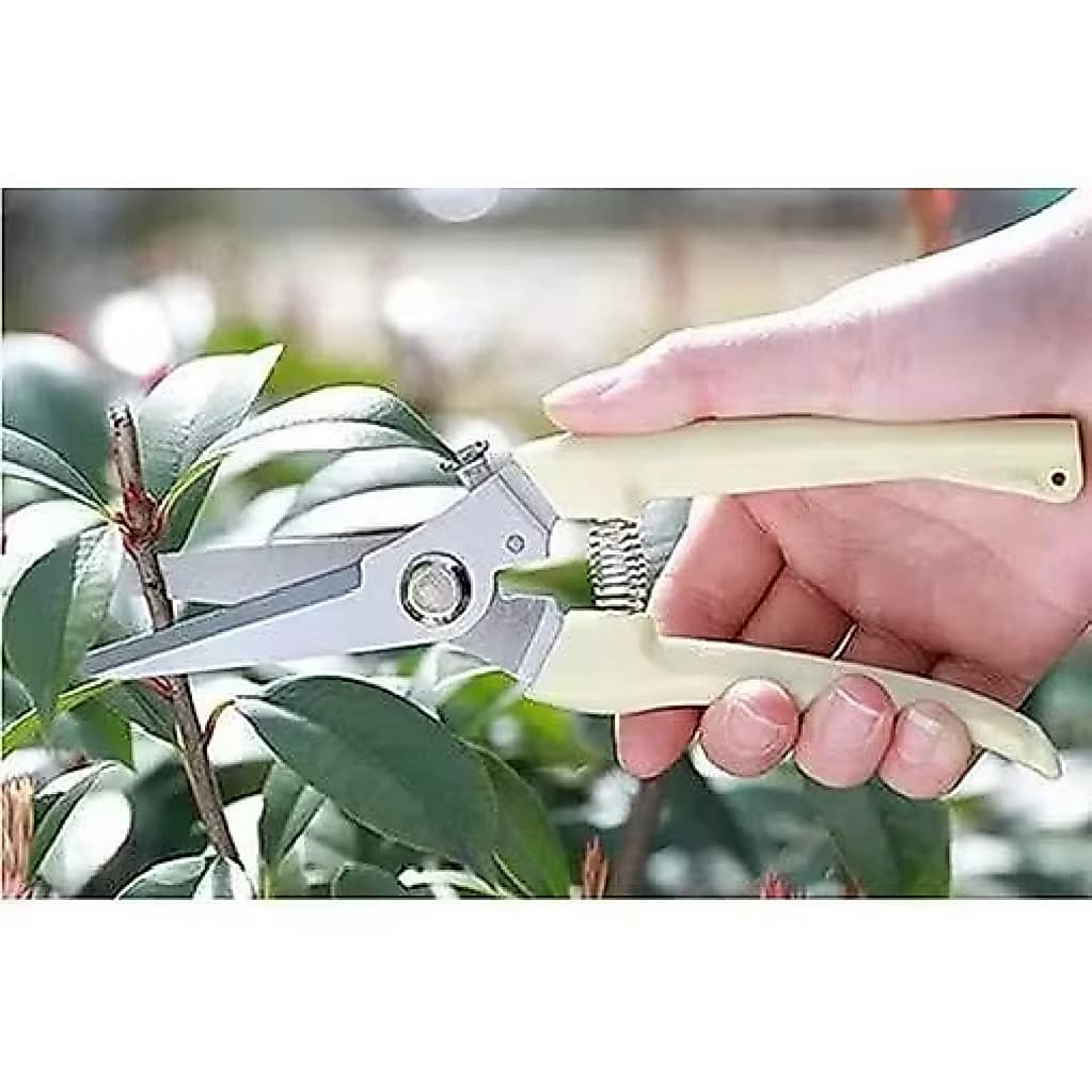 (GROSIRAN) Gunting Dahan Lurus Ranting Bunga Tanaman Gunting Lurus Alat Berkebun Potong Tanaman