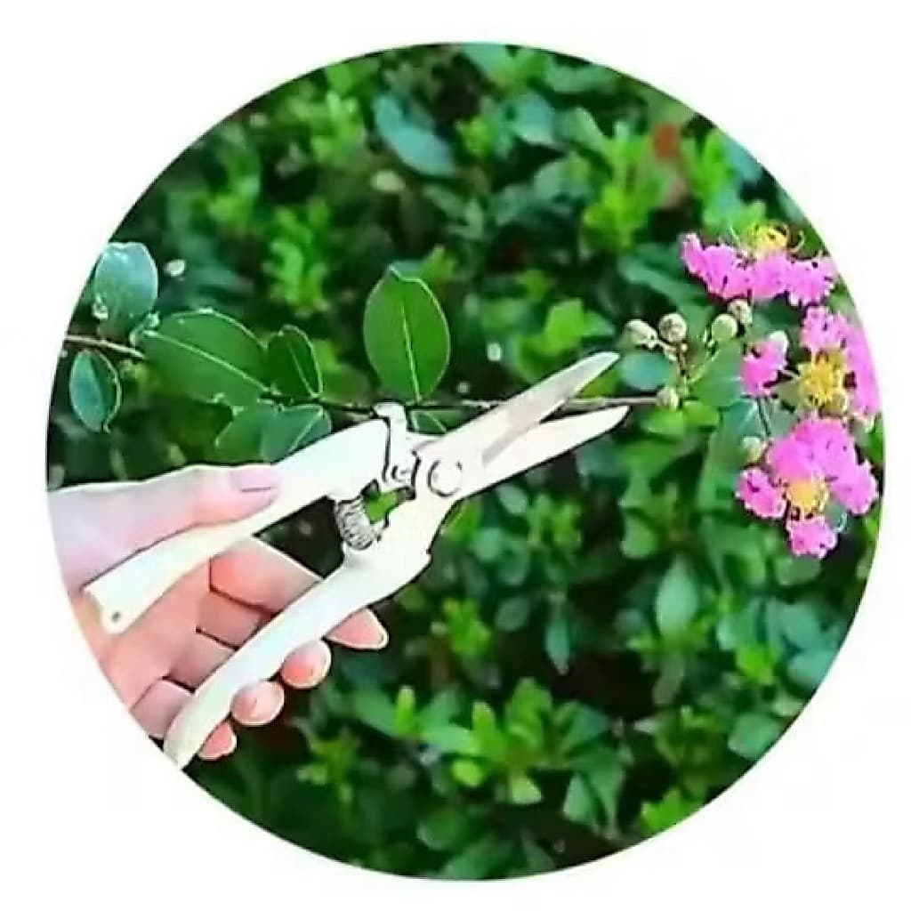 Gunting Dahan Lurus Ranting Bunga Tanaman Gunting Lurus Alat Berkebun Potong Tanaman